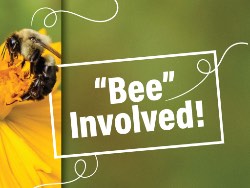 
Bee involved